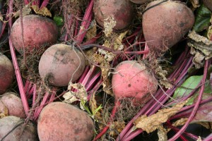 beets