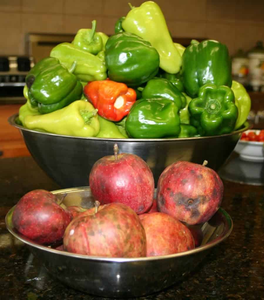 harvest_organic-fruit-and-vegetables