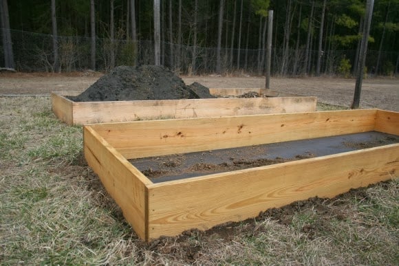 raised vegetable garden bed