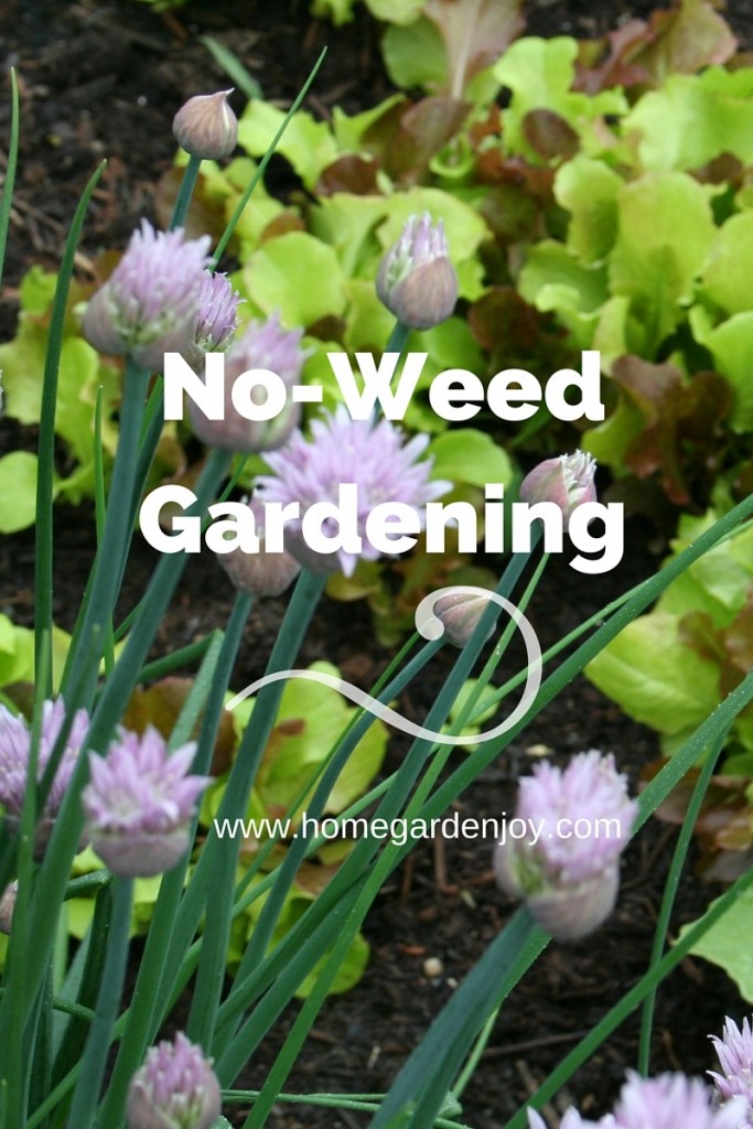 No-Weed Gardening
