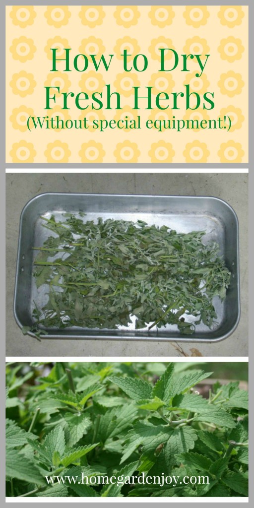 dry fresh herbs