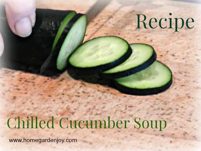 recipe for chilled cucumber soup