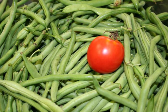 tomatoes and green beans