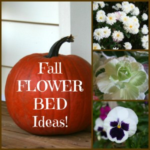 fall flower garden collage