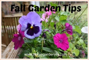 fall garden tips