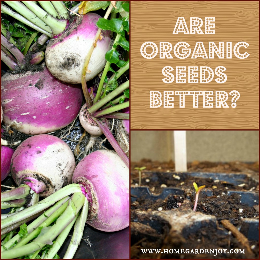 are organic seeds better