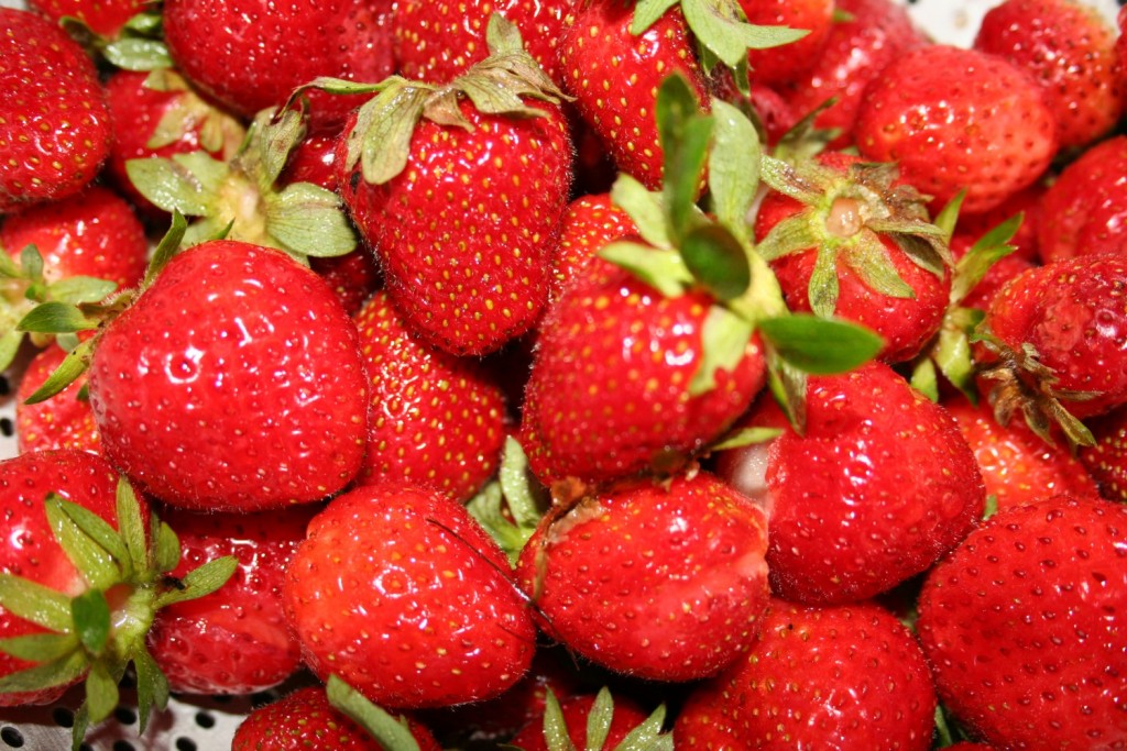 strawberries 1