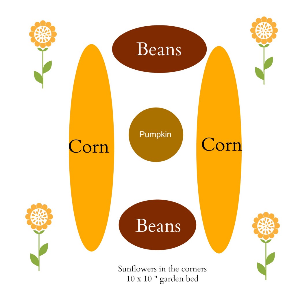 garden plan