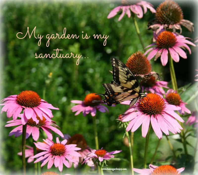 my garden is my sanctuary