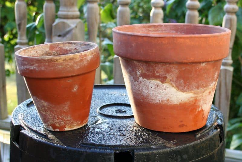 Pots: A variety of options for your plants