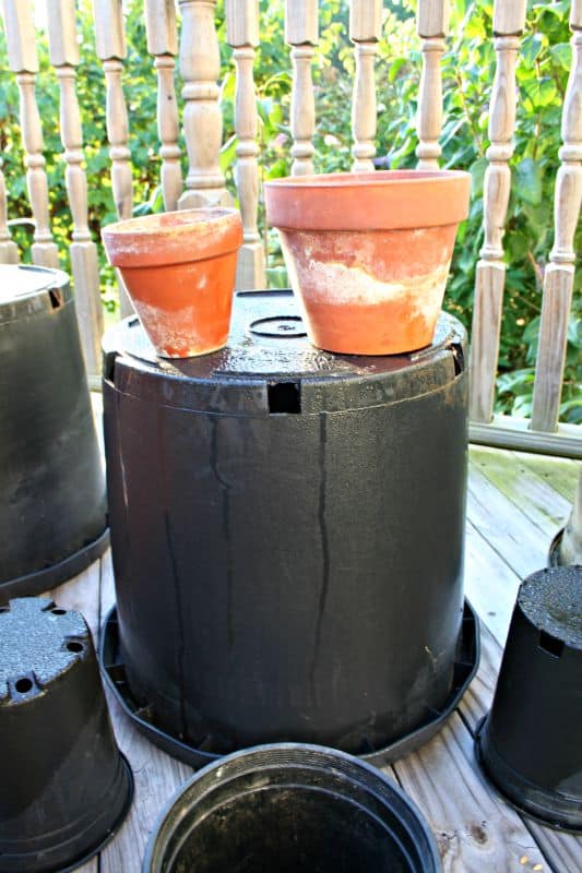 Advantages of clay pots and plastic pots