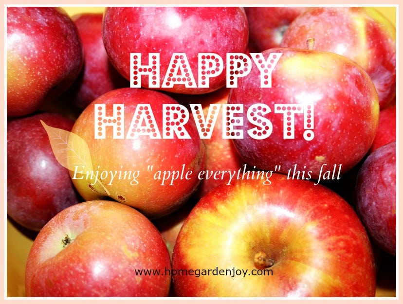 Tis the Season For Fresh Picked Apples!