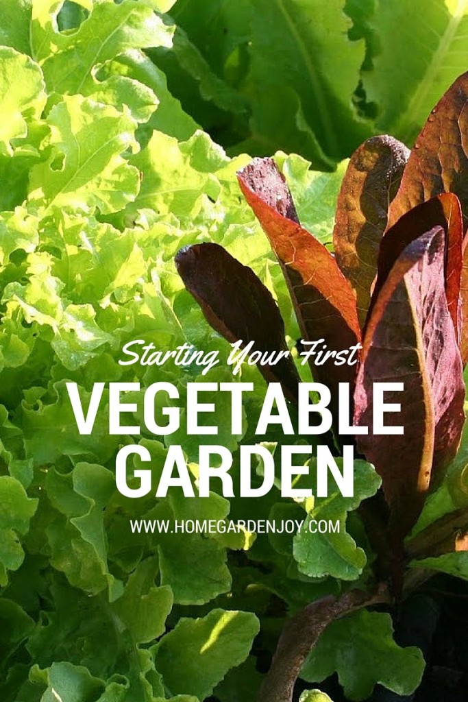 starting your first vegetable garden