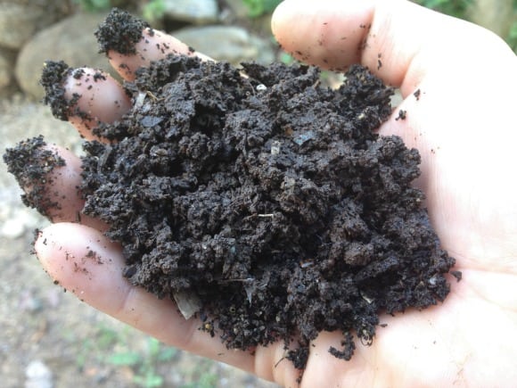 worm bin compost