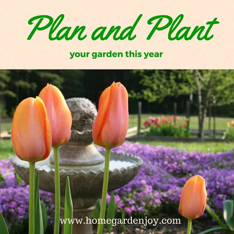 garden planning tips