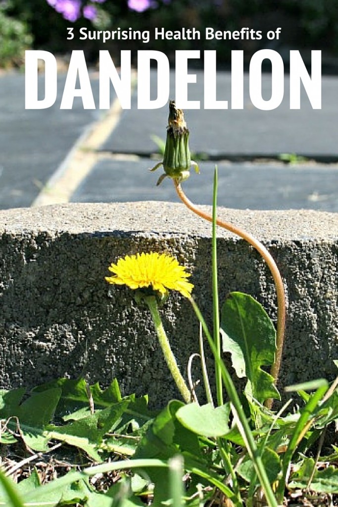 health benefits of dandelion