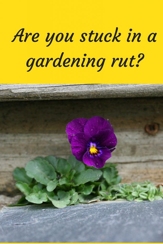 Are you stuck in a gardening rut-