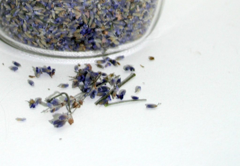 dried lavender 2