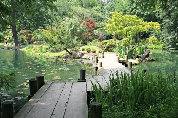 Japanese garden at Maymont