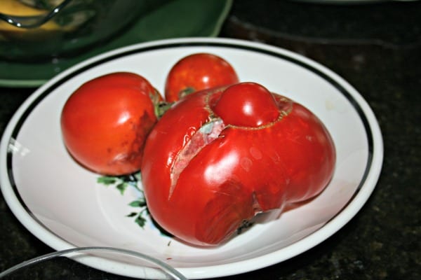 crack in a tomato