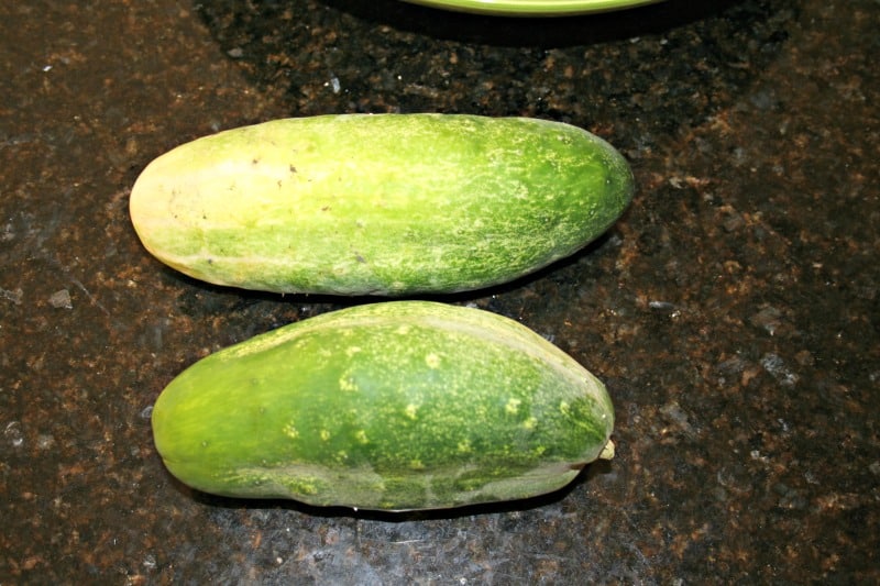 garden-cucumbers