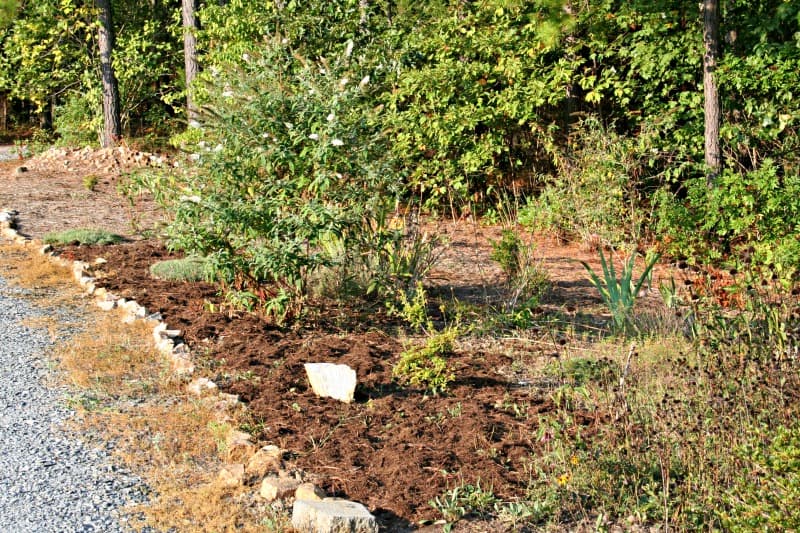 garden-mulch