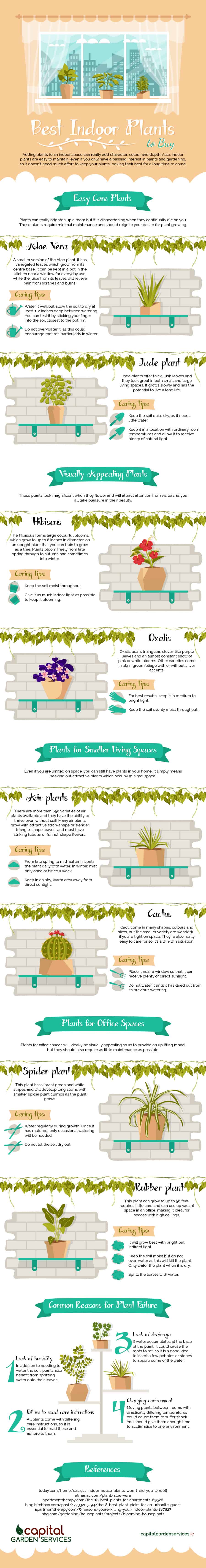 best-indoor-plants-infographic