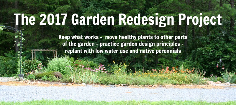 garden redesign project