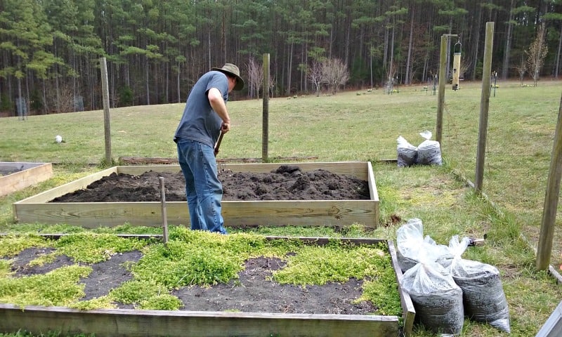 raised garden bed