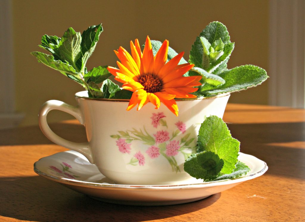 mints and a calendula flower in a tea cup