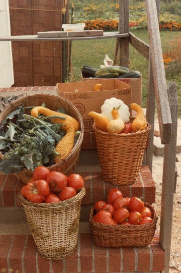 vegetables in baskets