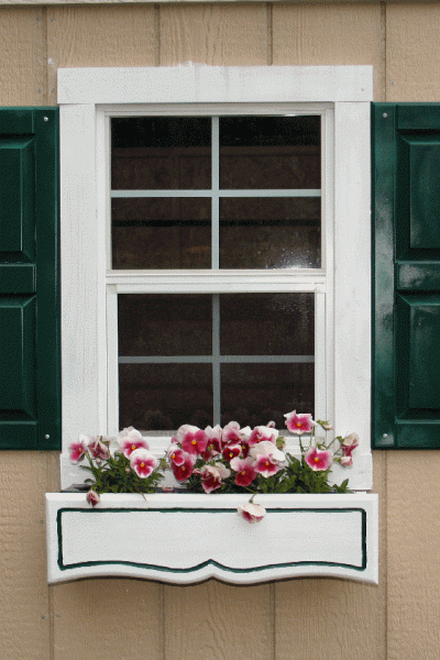 pansies in window box