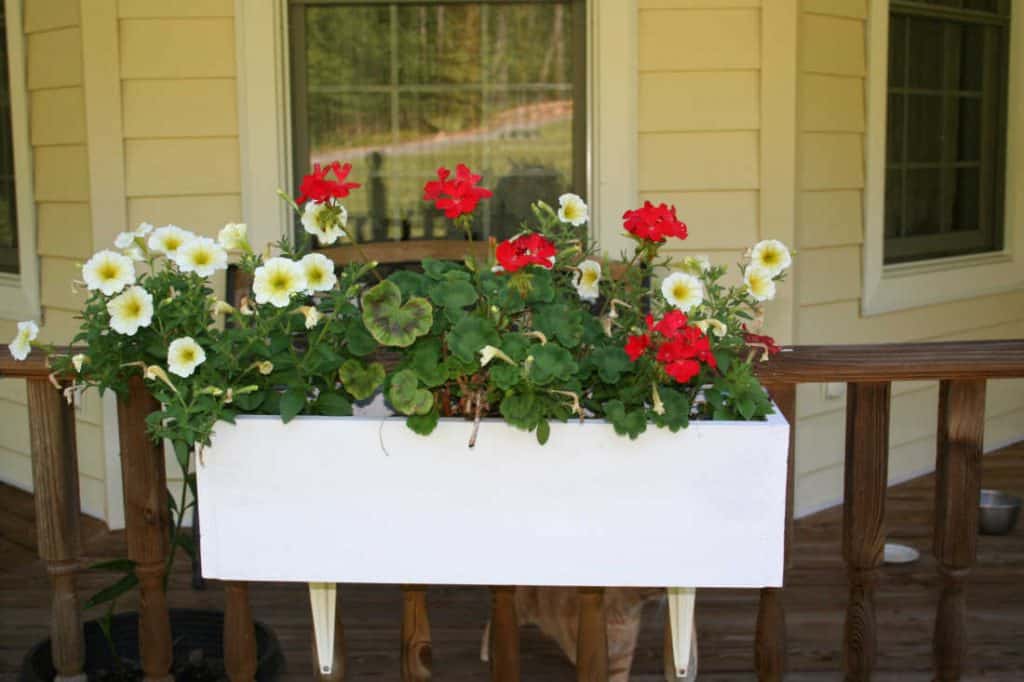 picture of attractive window box design