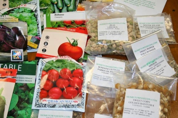 picture of garden seeds purchased from free seed catalogs