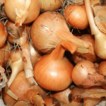 a close up of onions