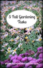 Five Fall Gardening Tasks To Do Now
