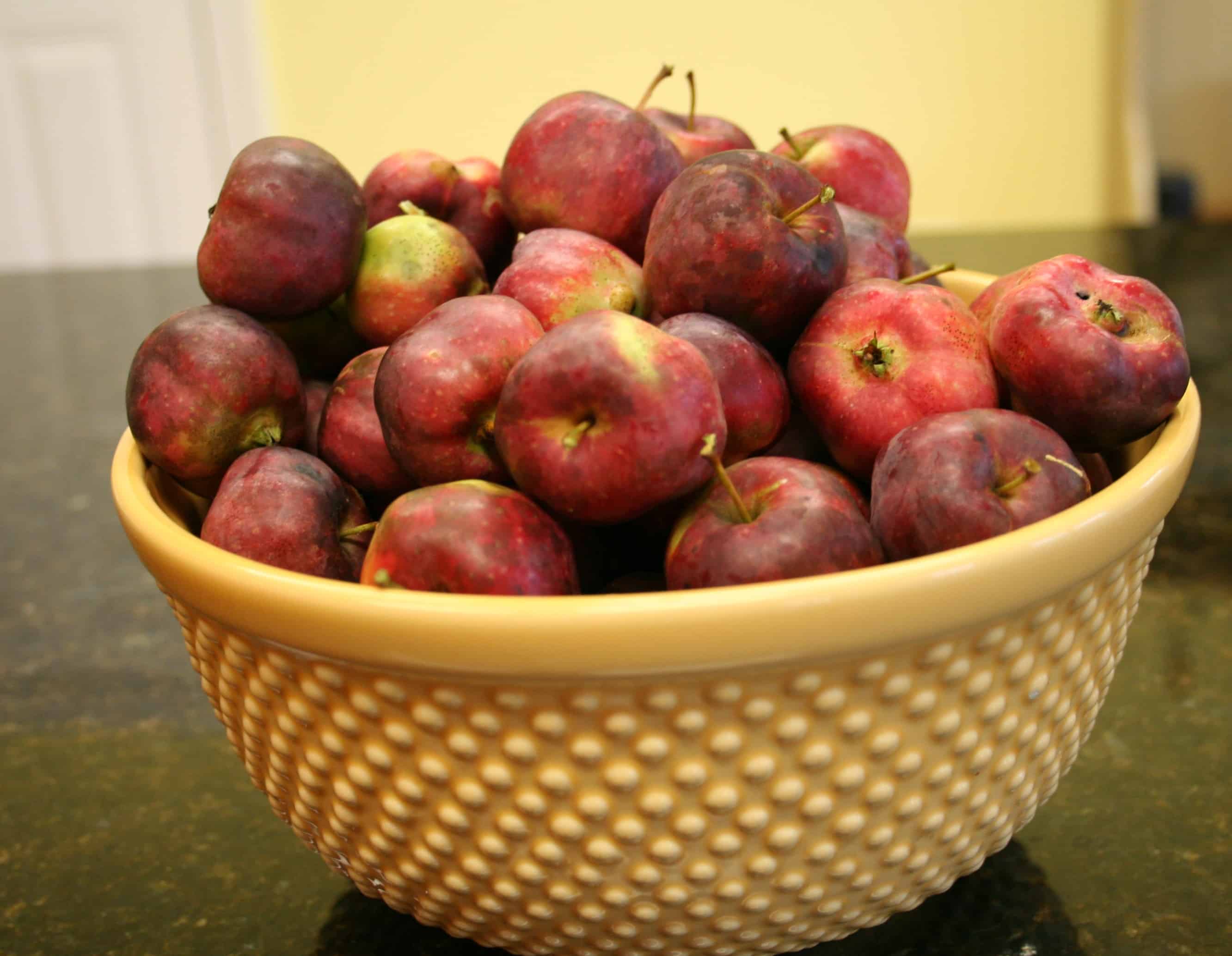 bowl of apples