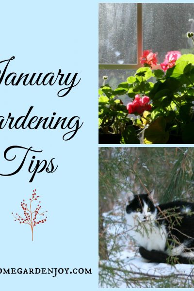 January Gardening Tips