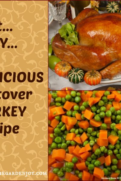 leftover turkey recipe