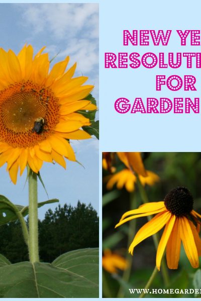 New Year Resolutions for gardeners