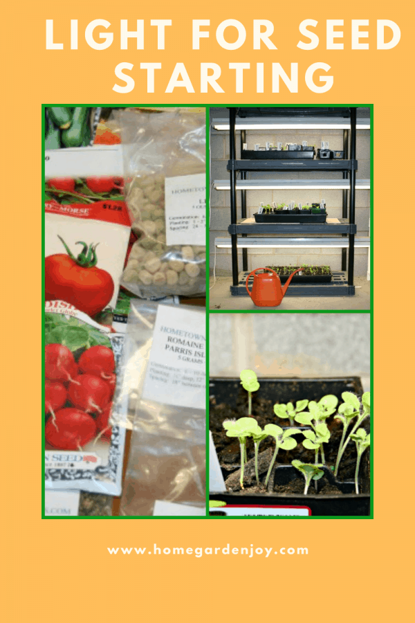 Best Light for Starting Seeds Indoors Home Garden Joy