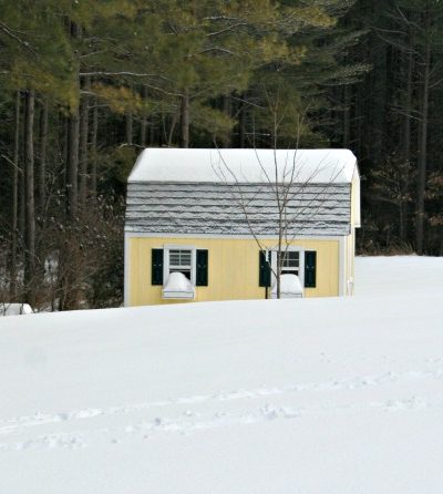 garden shed in the snow