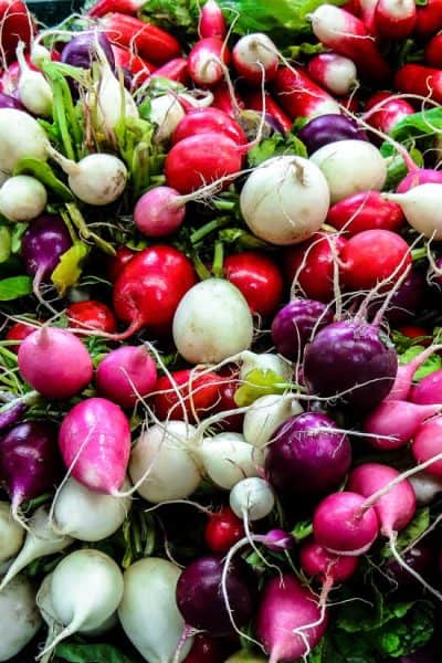 a picture of the many types of radishes