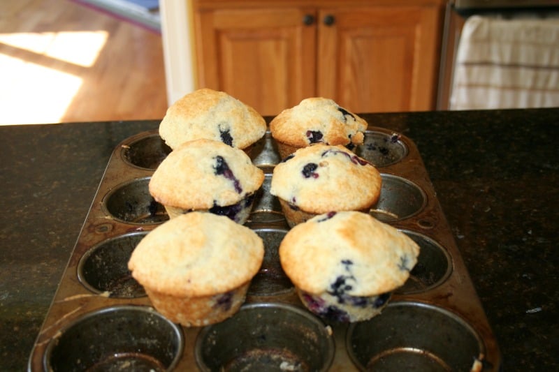 blueberry muffin recipe