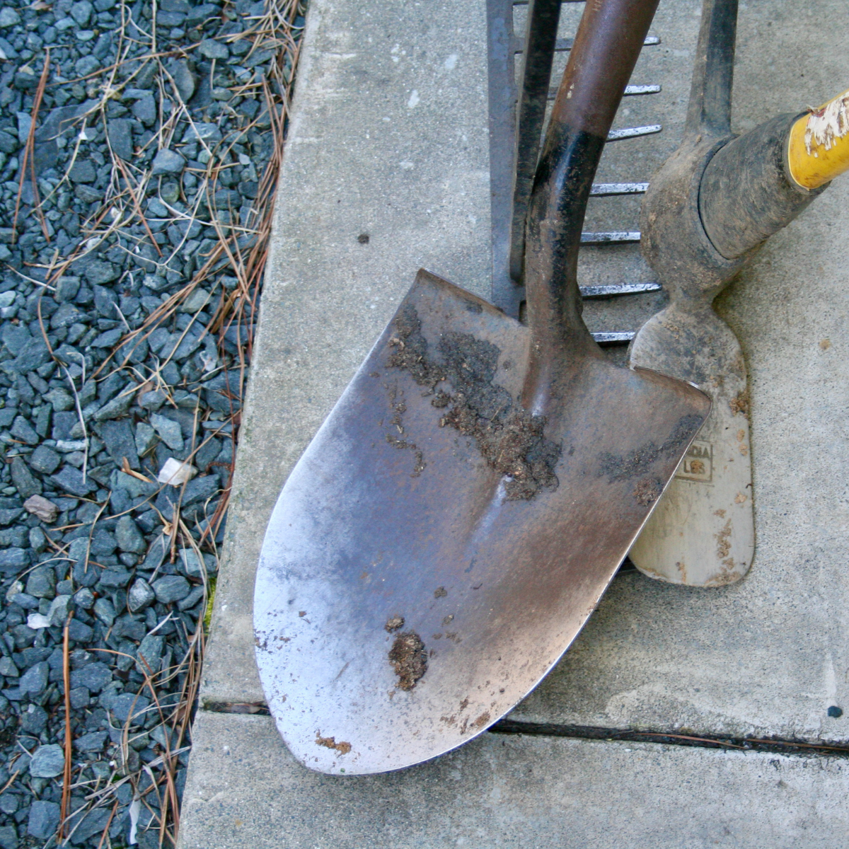 a shovel with compost on it