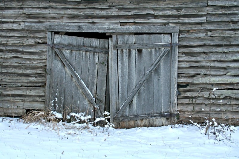 How Do You Define Homesteading Home Garden Joy