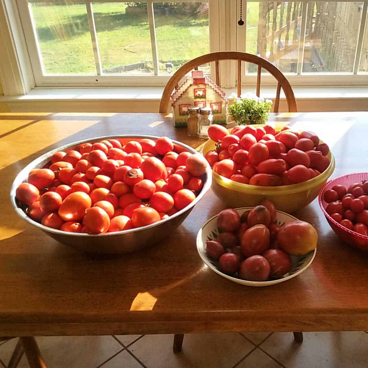 tomatoes on the kitchen table in bowls