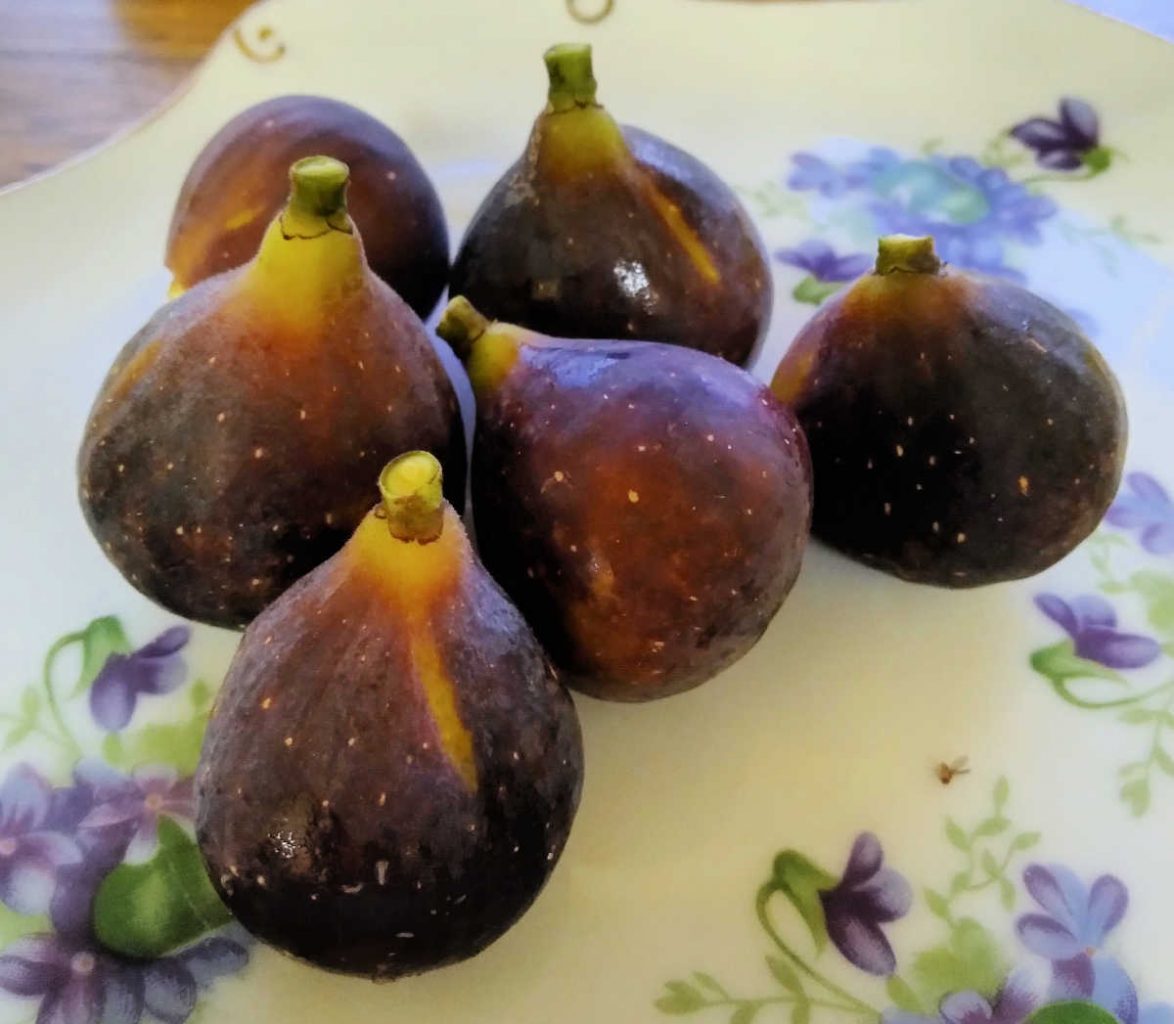  figues brunes fraîches sur une assiette