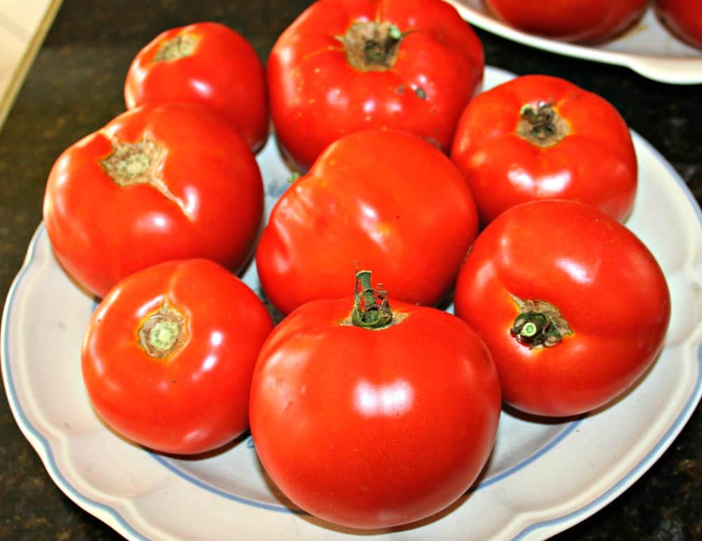 big beef tomatoes