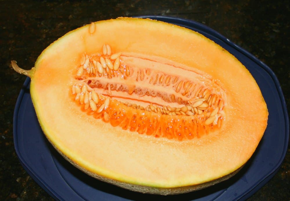 why-you-should-stop-throwing-out-cantaloupe-seeds